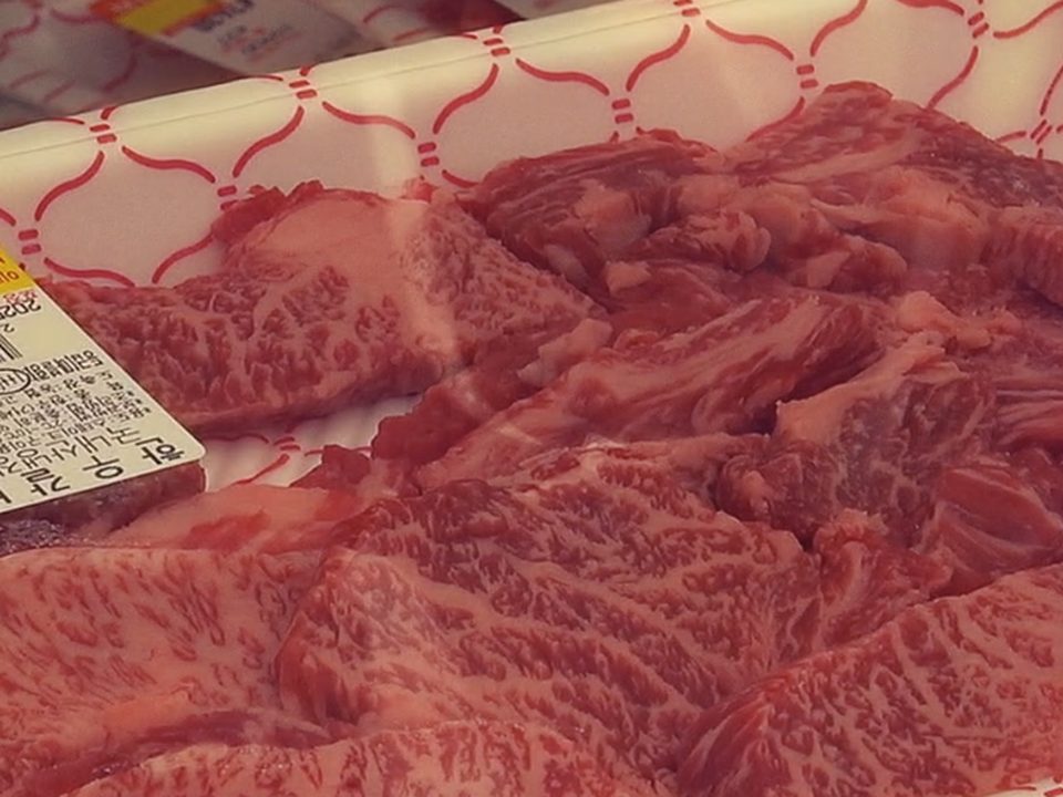 영천별빛한우 판매장 — 판매장의 영천별빛한우 구이용 부위